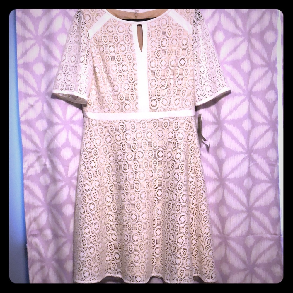 Jessica Howard fit and flare dress